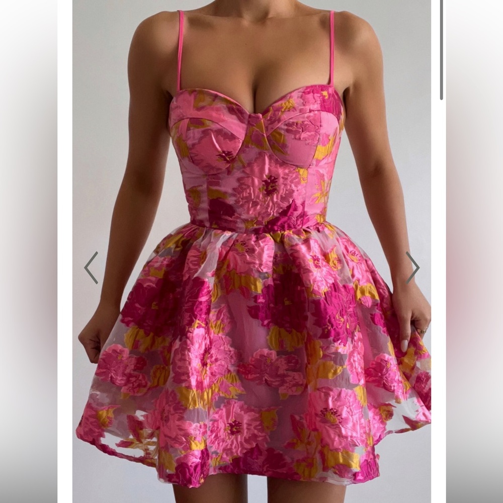 NWT Showpo. Brailey Sweetheart Bustier Pink Floral Barbie Ballerina Mini Dress